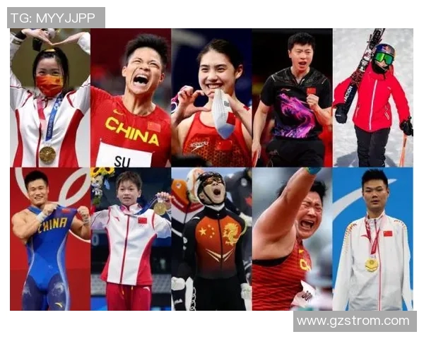 中国体育明星实力对比与成就分析图解 中国体育明星实力对比与成就分析图解