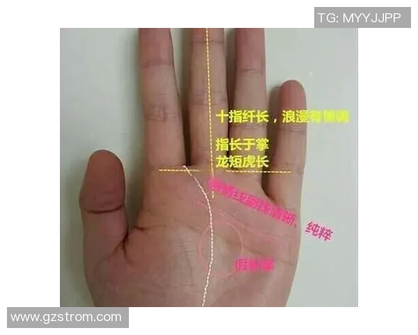 女性足球明星手相解析与图片展示探索她们的命运与个性特征