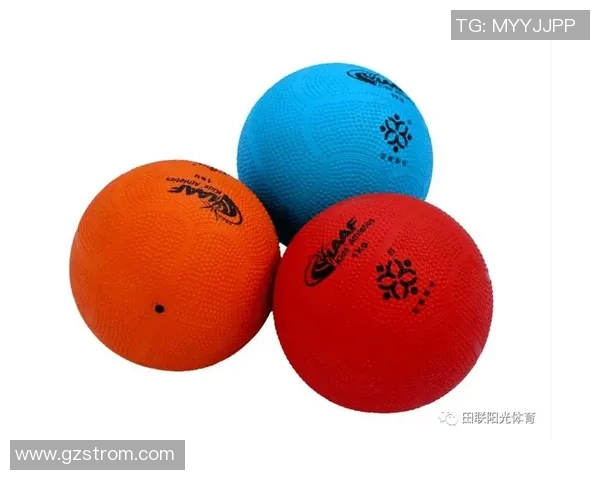 全面解析体育器材明细及其在各项运动中的应用价值与选择指南