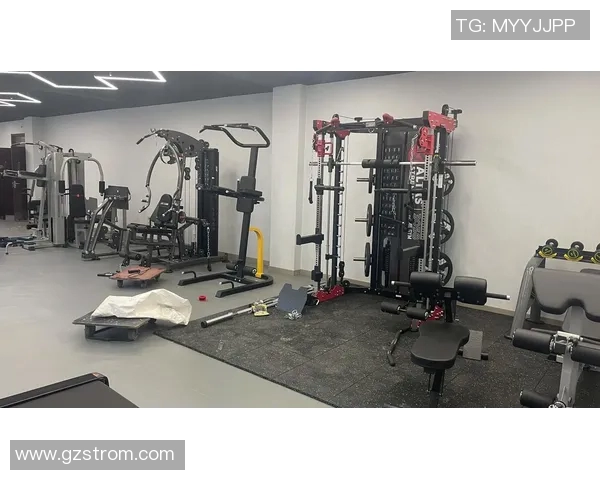 健身器材体育用品批发一站式采购平台助您轻松打造健身房