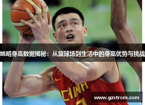姚明身高数据揭秘：从篮球场到生活中的身高优势与挑战