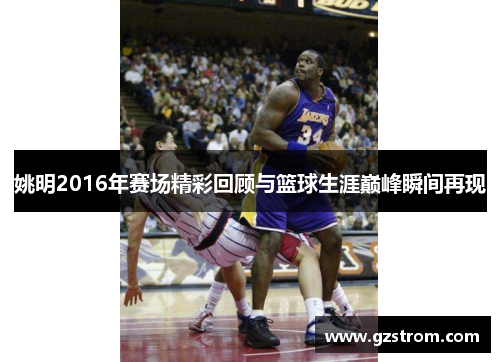 姚明2016年赛场精彩回顾与篮球生涯巅峰瞬间再现