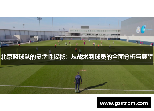 北京篮球队的灵活性揭秘：从战术到球员的全面分析与展望