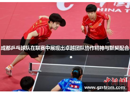 成都乒乓球队在联赛中展现出卓越团队协作精神与默契配合