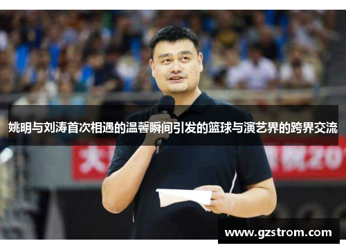 姚明与刘涛首次相遇的温馨瞬间引发的篮球与演艺界的跨界交流