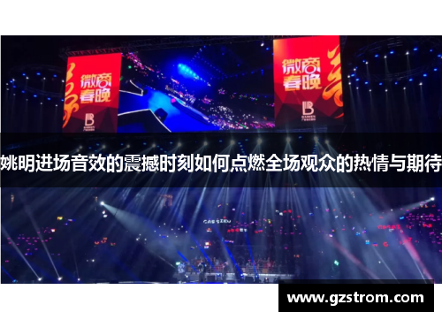 姚明进场音效的震撼时刻如何点燃全场观众的热情与期待