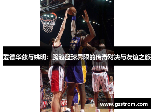爱德华兹与姚明：跨越篮球界限的传奇对决与友谊之旅